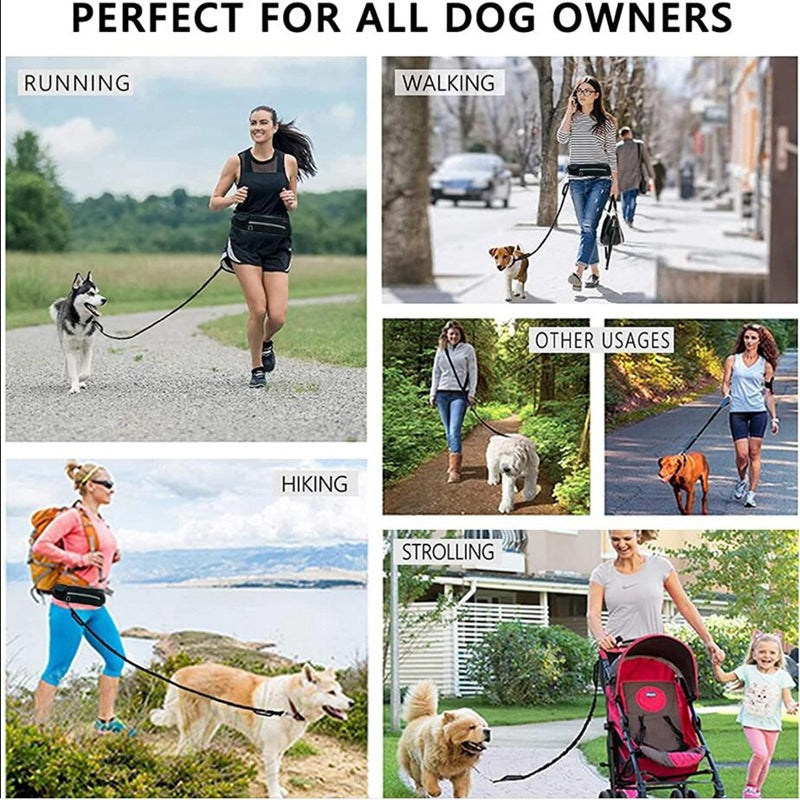 Hands-Free Dog Walking Leash for Large Dogs – Bungee Shock Absorber with Training Waist Belt