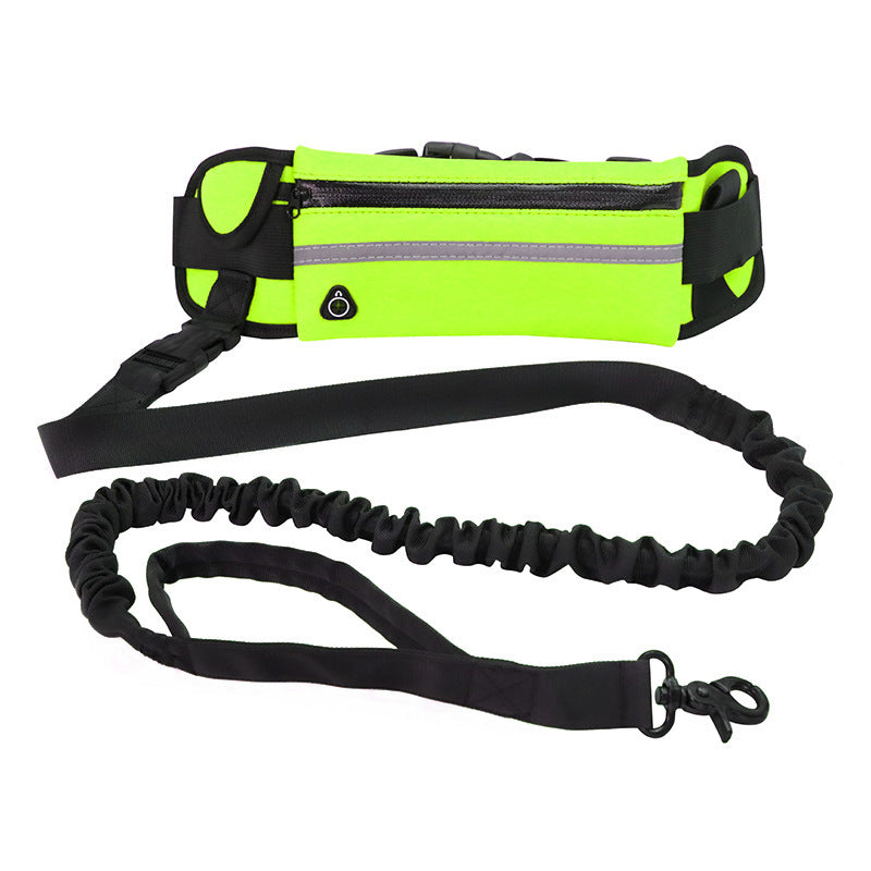 Hands-Free Dog Walking Leash for Large Dogs – Bungee Shock Absorber with Training Waist Belt
