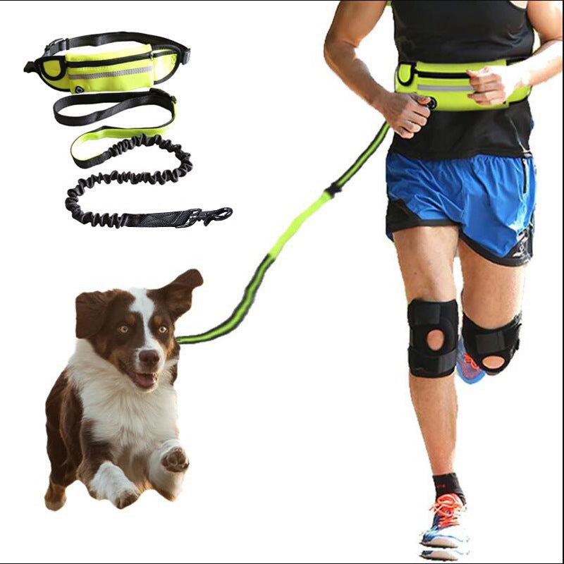 Hands-Free Dog Walking Leash for Large Dogs – Bungee Shock Absorber with Training Waist Belt