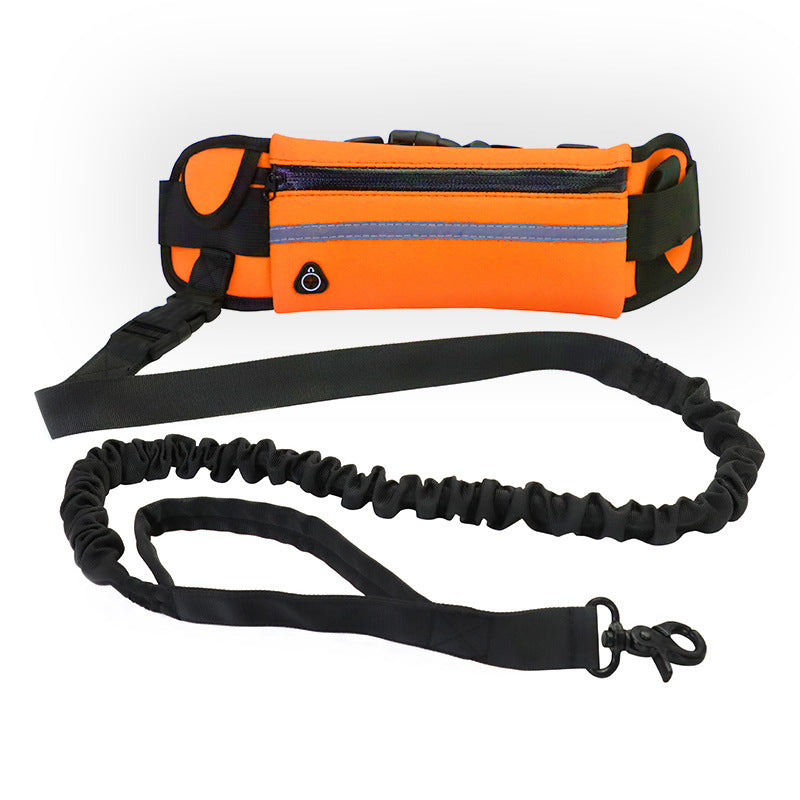 Hands-Free Dog Walking Leash for Large Dogs – Bungee Shock Absorber with Training Waist Belt